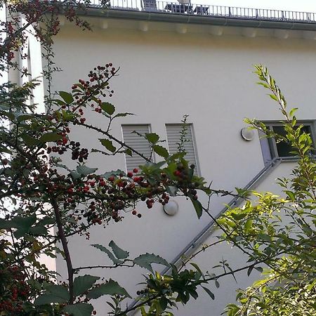 Petite Bellevue II Apartment Baden-Baden Exterior foto