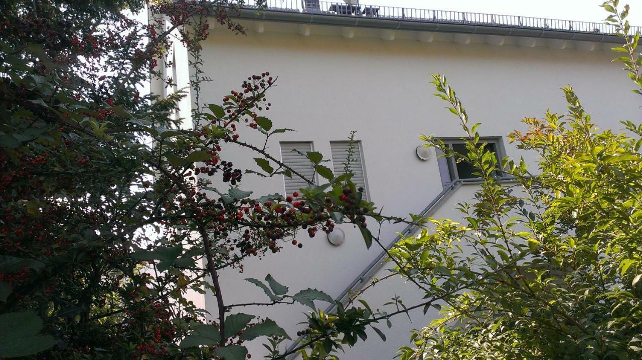 Petite Bellevue II Apartment Baden-Baden Exterior foto